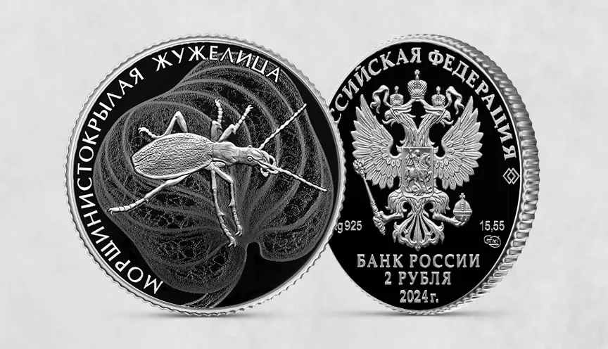 Морщинистокрылая жужелица Морщинистокрылая жужелица